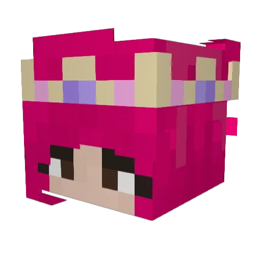 DontTellAmy Minecraft avatar head, 3D render