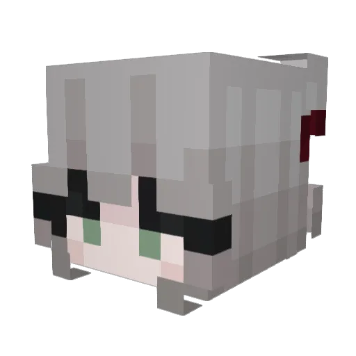 DontTellTheDog Minecraft avatar head, 3D render