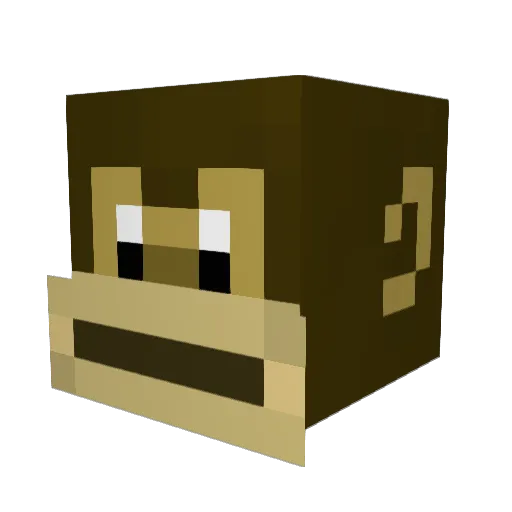 DontTread4 Minecraft avatar head, 3D render