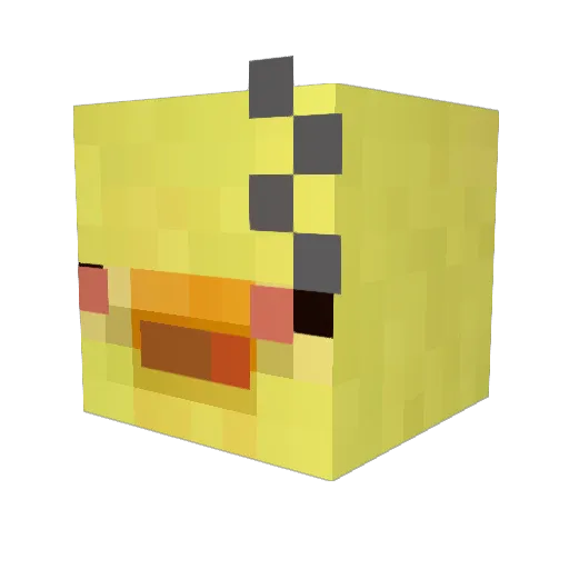 Dont_Do_Drugs Minecraft avatar head, 3D render