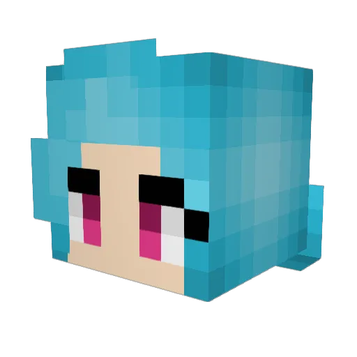 Dont_Jinx_It Minecraft avatar head, 3D render