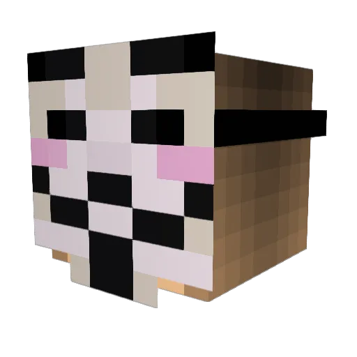 Dont_talk_to_mee Minecraft avatar head, 3D render