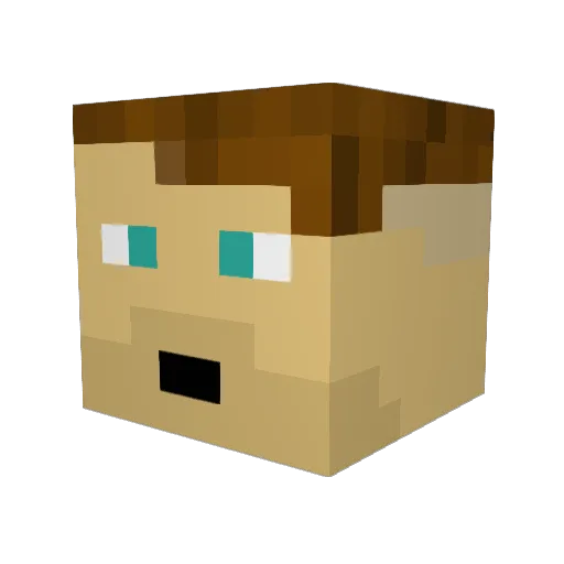 Dontdog7 Minecraft avatar head, 3D render