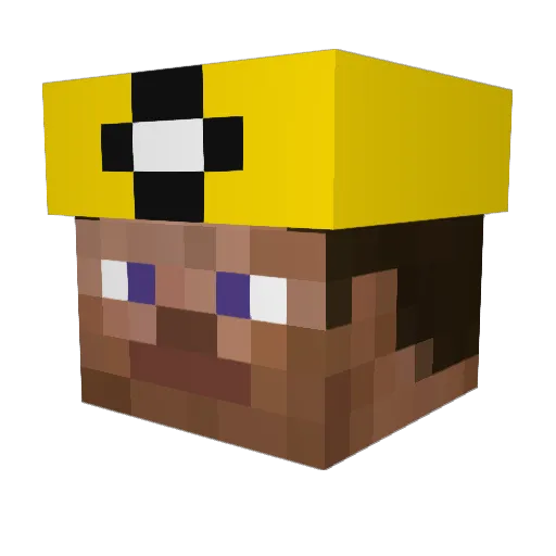 Donteric Minecraft avatar head, 3D render