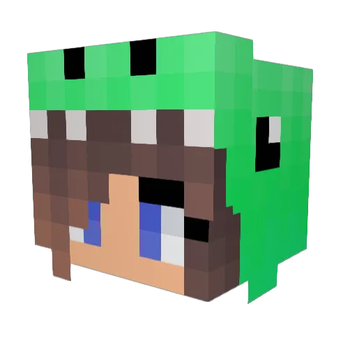 DontfreakoutX Minecraft avatar head, 3D render