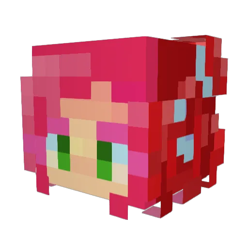 DontheMom Minecraft avatar head, 3D render