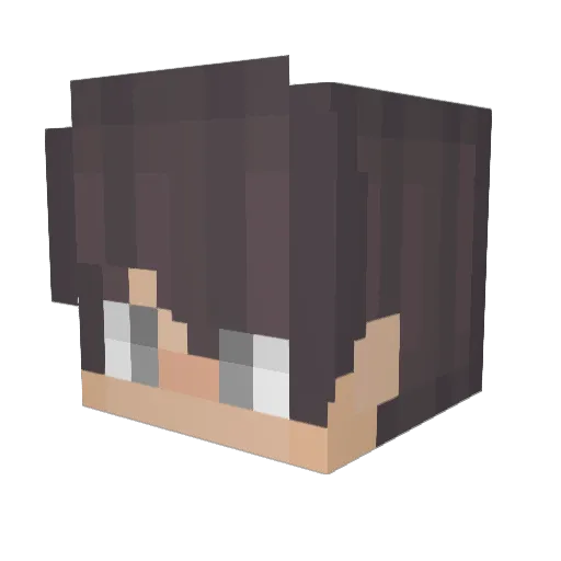 Donthurtfabi Minecraft avatar head, 3D render