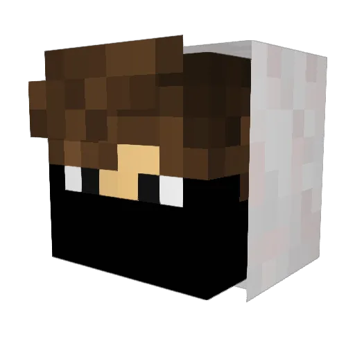 Dontqwer Minecraft avatar head, 3D render