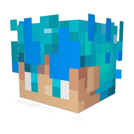 DonttTrip Minecraft avatar head, 3D render
