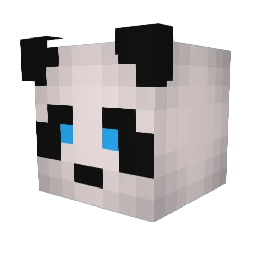 Donttreadonme243 Minecraft avatar head, 3D render