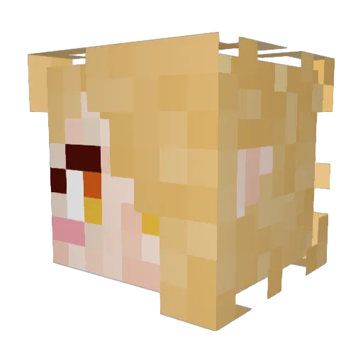 Donurito Minecraft avatar head, 3D render