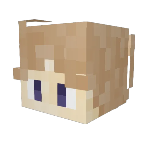 DonutBadgerMe Minecraft avatar head, 3D render