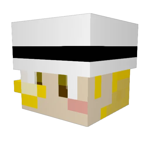 DonutDuke Minecraft avatar head, 3D render