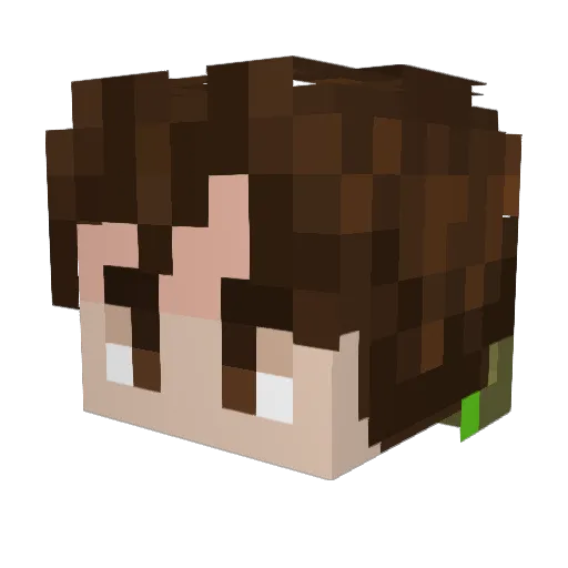 DonutEnthusiast Minecraft avatar head, 3D render