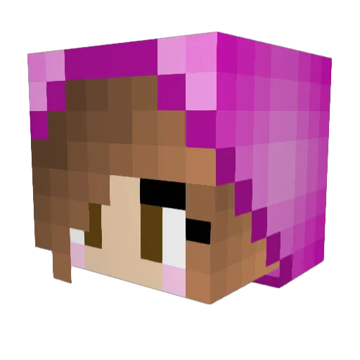 DonutGirl1 Minecraft avatar head, 3D render