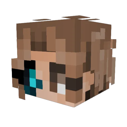 DonutIsAFK Minecraft avatar head, 3D render