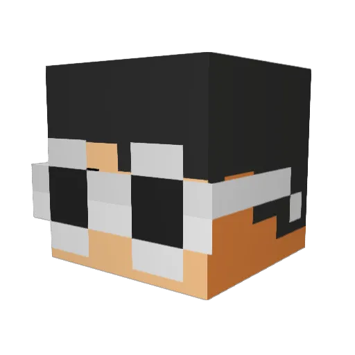 DonutMonster110 Minecraft avatar head, 3D render