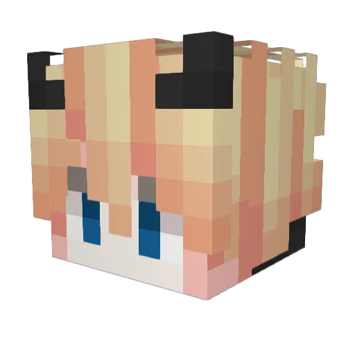 Donut_B0 Minecraft avatar head, 3D render