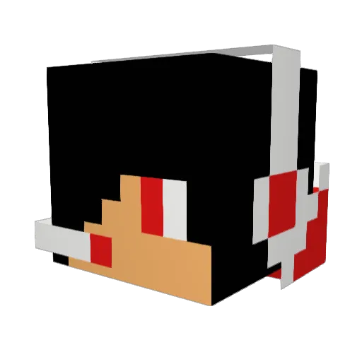 Donutbuster103 Minecraft avatar head, 3D render