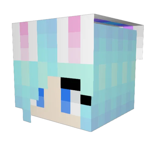 Donute47 Minecraft avatar head, 3D render