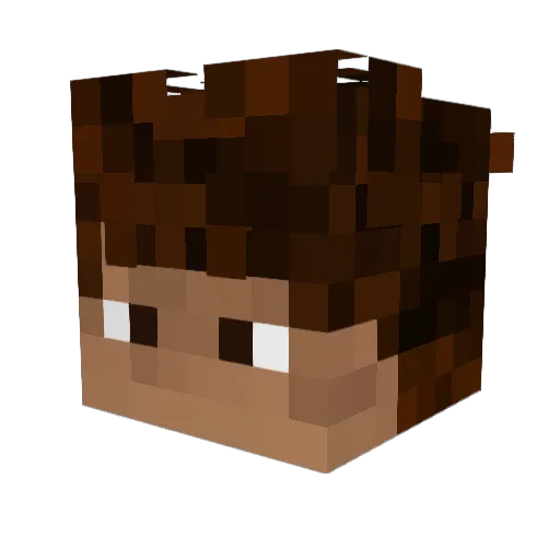 Donutgames113 Minecraft avatar head, 3D render