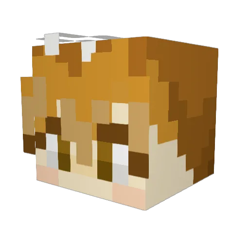 Donutisfriendly Minecraft avatar head, 3D render