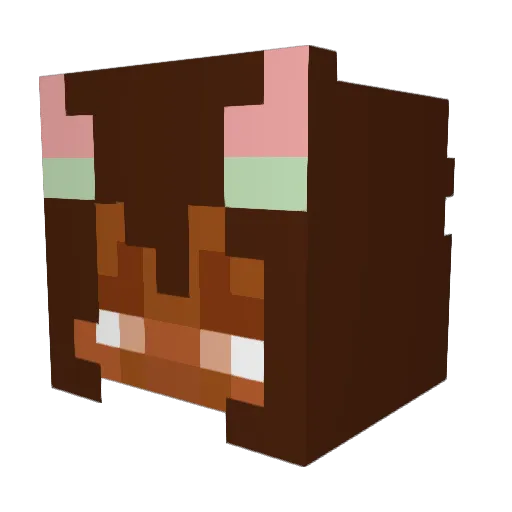 Donutroll57 Minecraft avatar head, 3D render