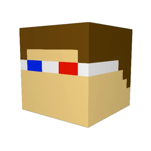 Donutwizard5 Minecraft avatar head, 3D render