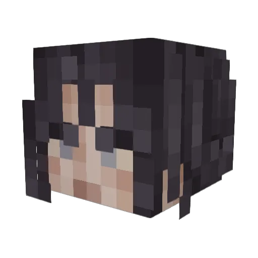 Donutxlla Minecraft avatar head, 3D render