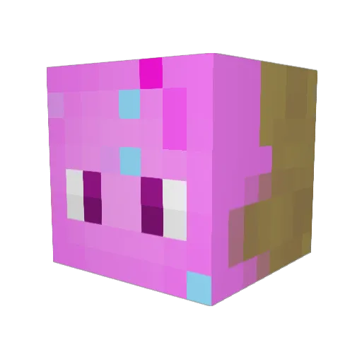 Donutz__ Minecraft avatar head, 3D render
