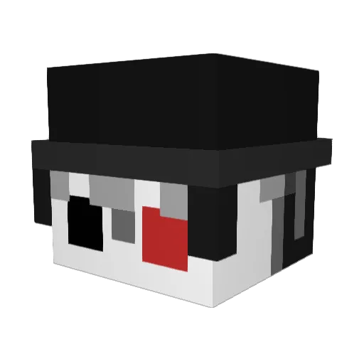 Donzo0 Minecraft avatar head, 3D render
