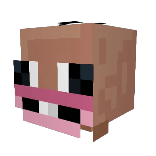 DooDooDude15 Minecraft avatar head, 3D render
