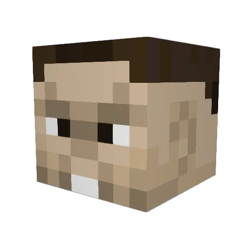 DooSik Minecraft avatar head, 3D render