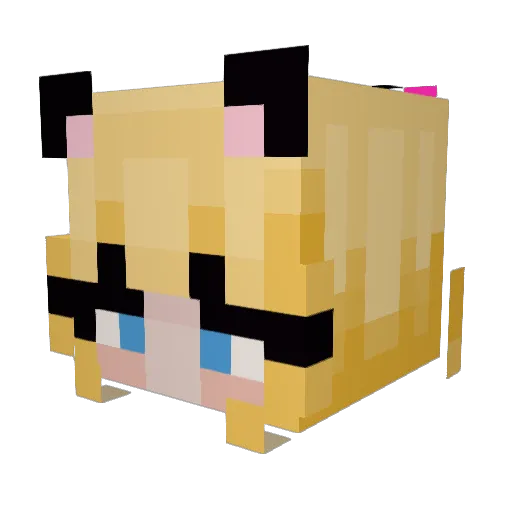 Doo_mp4 Minecraft avatar head, 3D render