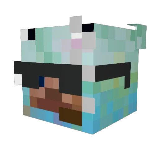 Doobie8686 Minecraft avatar head, 3D render