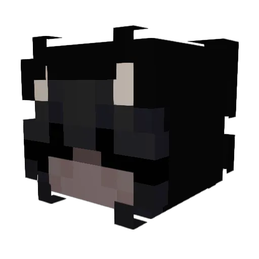 Doocot2710 Minecraft avatar head, 3D render