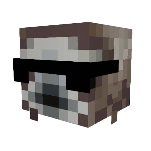 Dood2076 Minecraft avatar head, 3D render