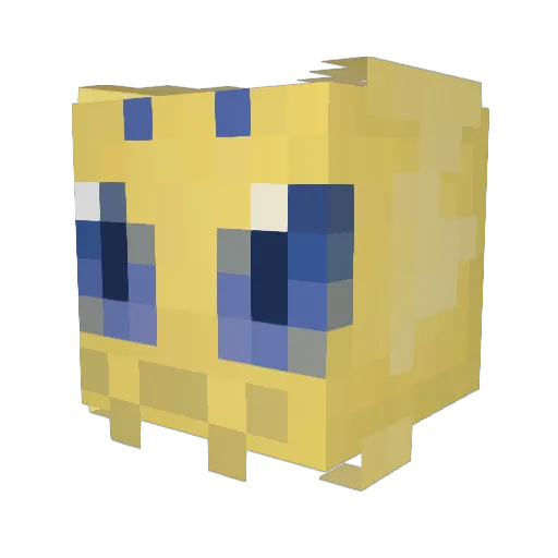 Doodez Minecraft avatar head, 3D render