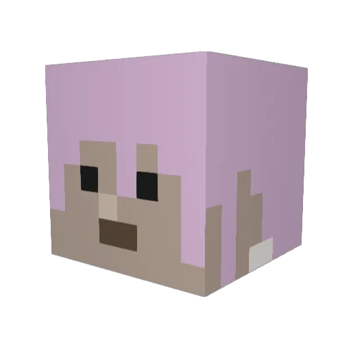 Doodidan Minecraft avatar head, 3D render