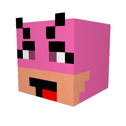 DoodieWoman Minecraft avatar head, 3D render
