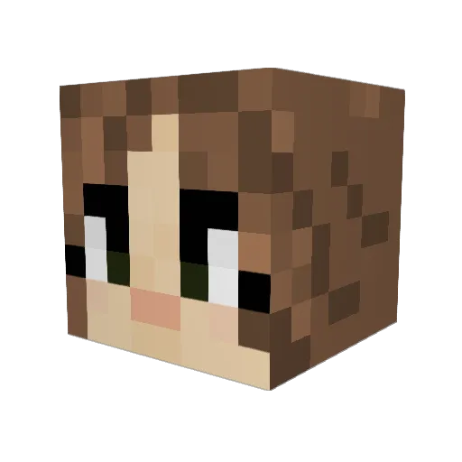 Doodilux Minecraft avatar head, 3D render