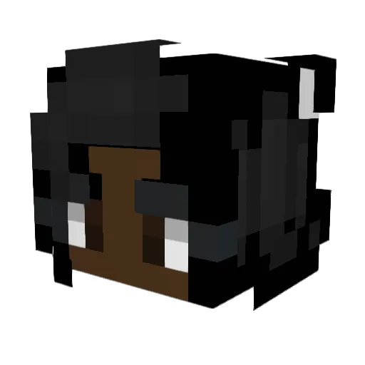 Doodle27 Minecraft avatar head, 3D render