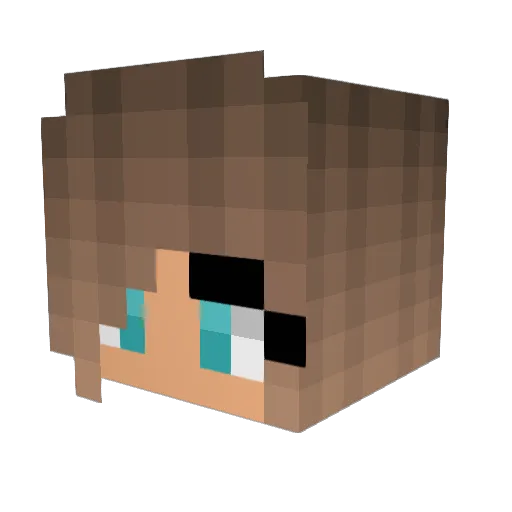 DoodleBug_ Minecraft avatar head, 3D render