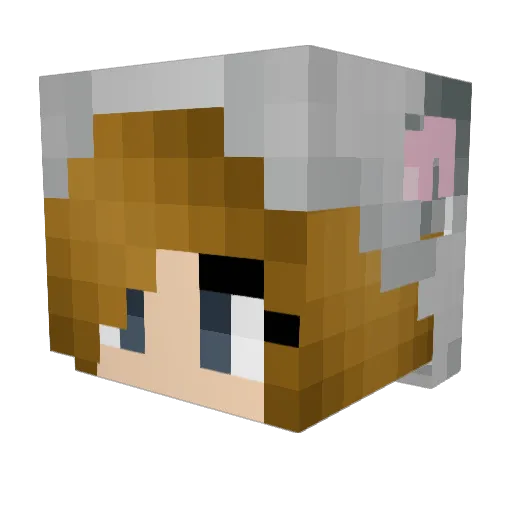DoodleCat7 Minecraft avatar head, 3D render