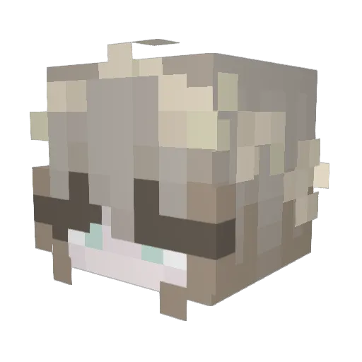 DoodleD00 Minecraft avatar head, 3D render