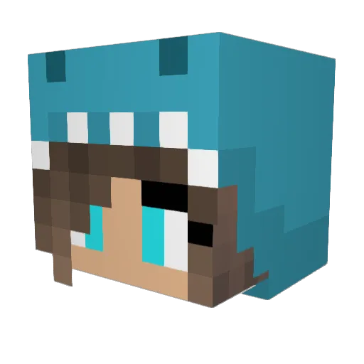 DoodleShark1115 Minecraft avatar head, 3D render