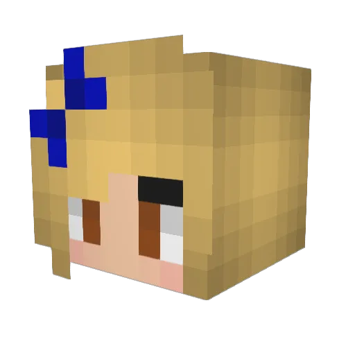 Doodlebug2008 Minecraft avatar head, 3D render