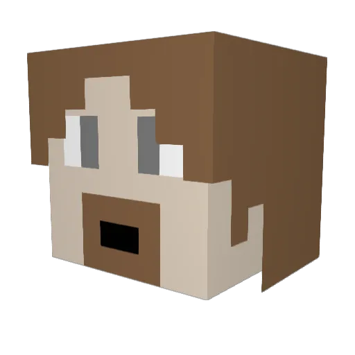 Doodlesnoop Minecraft avatar head, 3D render