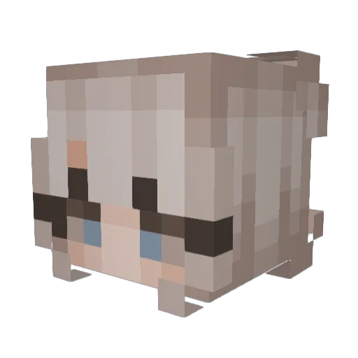 DoodlewoIf Minecraft avatar head, 3D render