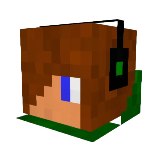 Doodlezocker Minecraft avatar head, 3D render